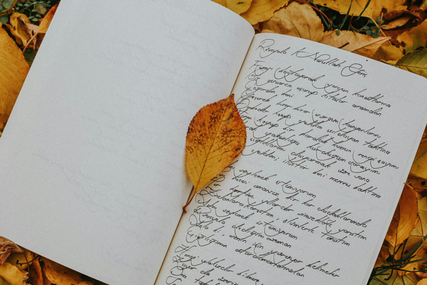 Journal Entries Have to Be Long