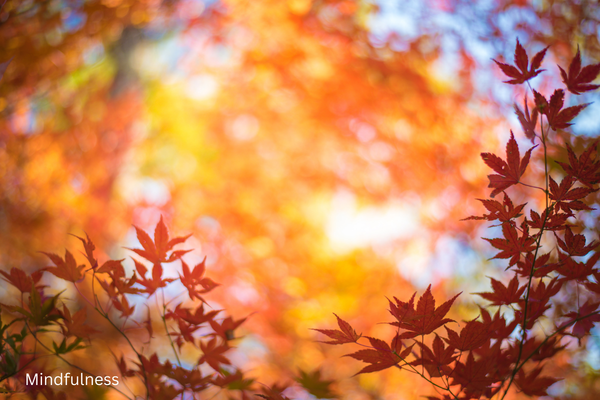 Mindfulness with Leaves